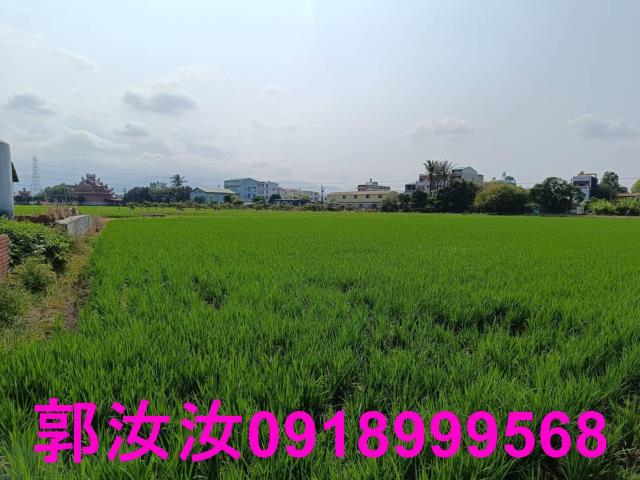 白河農地-9