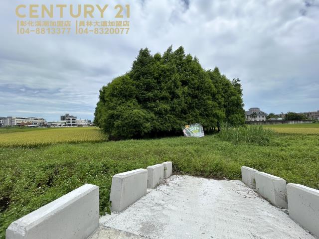 彰化員林農地-2