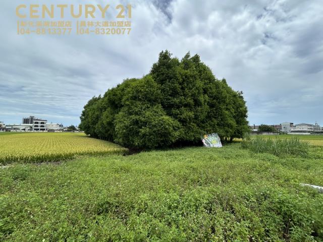 彰化員林農地-3