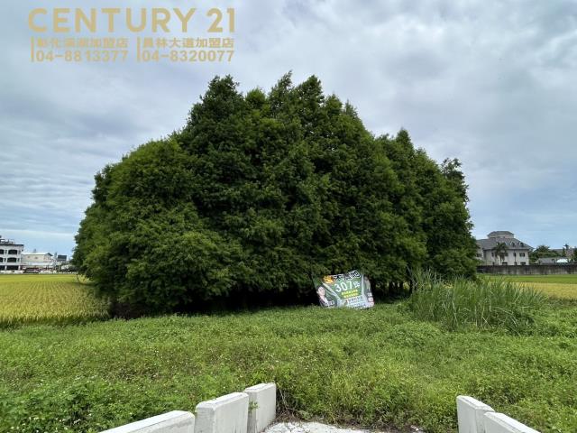 彰化員林農地-4