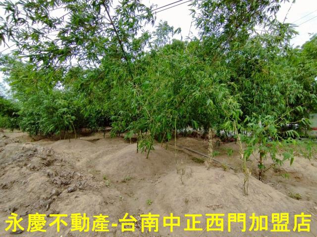 歸仁農地-10