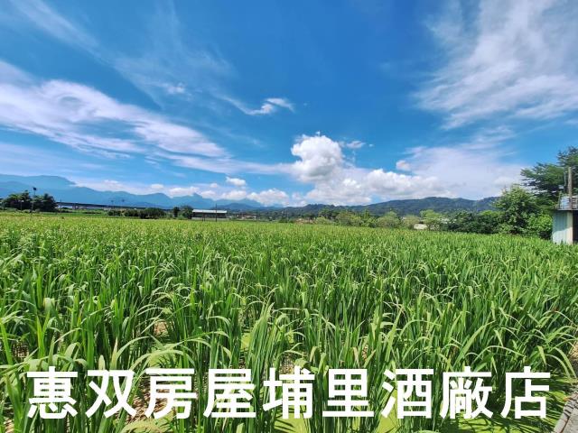 南投埔里農地-3