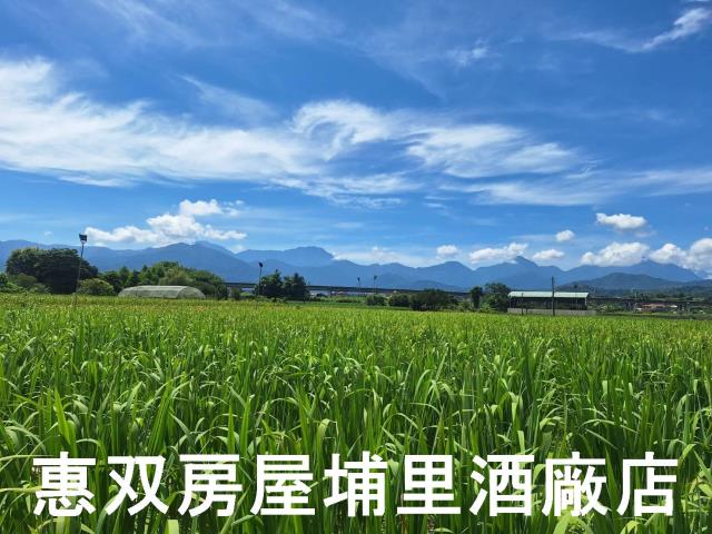 南投埔里農地-5