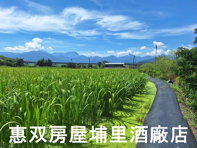 南投埔里農地-6