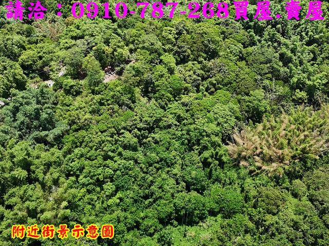 台南白河農地-13