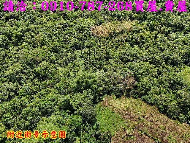 台南白河農地-5