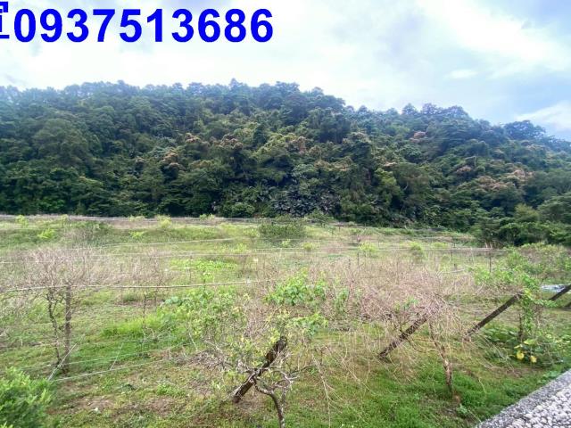 宜蘭員山農地-6