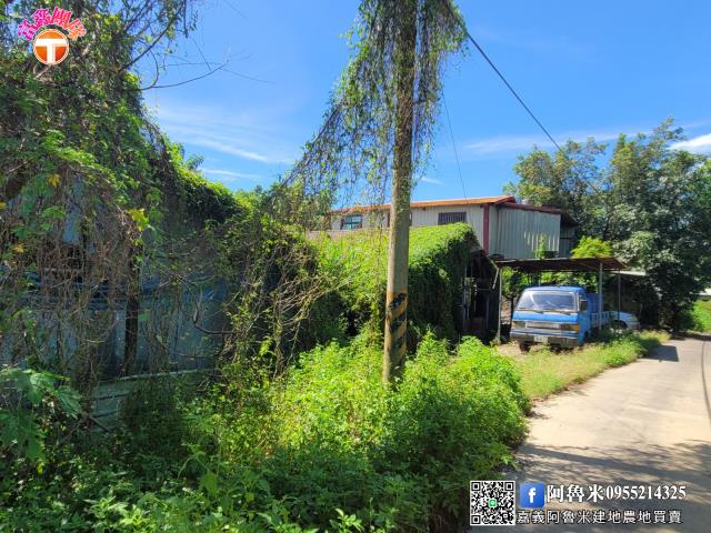 台南白河農地-2