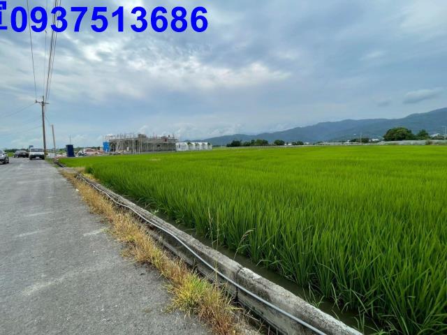 三星農地-7