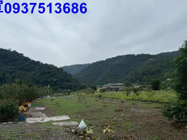 員山農地-10