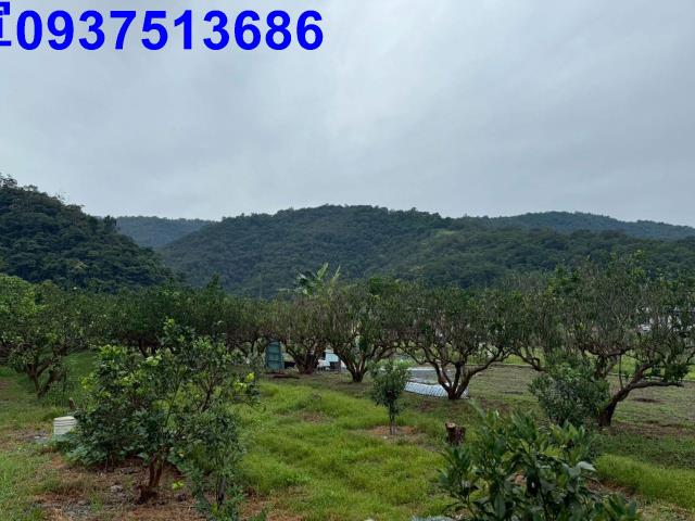 員山農地-3