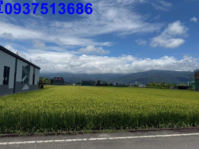 礁溪農地-5