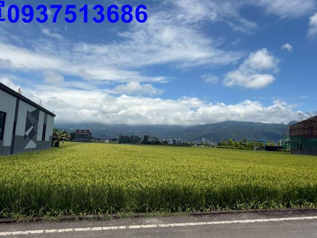礁溪農地-8