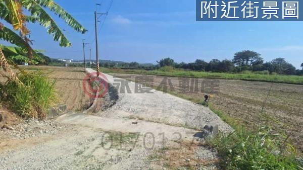 新化農地-2