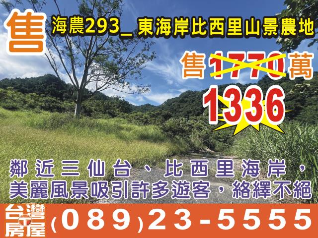 台東成功農地-1
