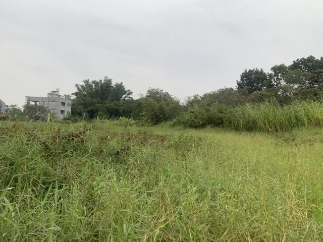 關廟建地-9