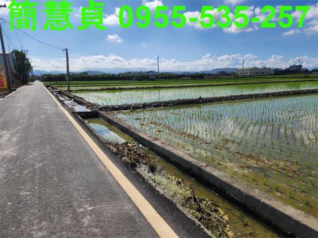 南投農地-3