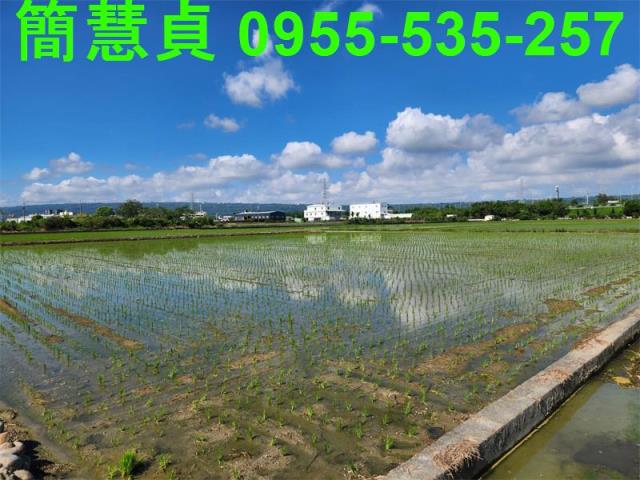 南投農地-4