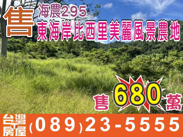 台東成功農地-1