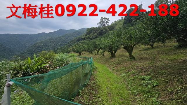 員山農地-14