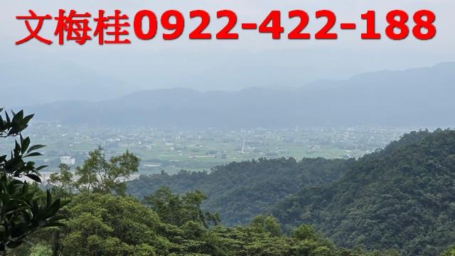 員山農地-1