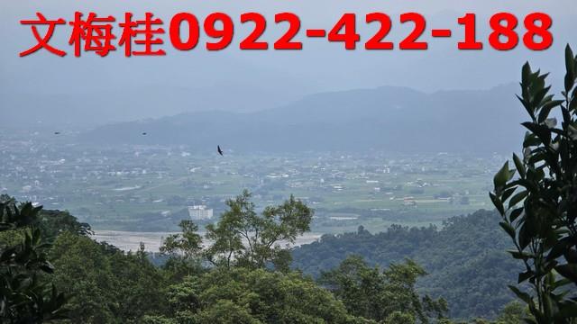員山農地-3