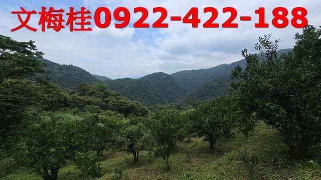 員山農地-4