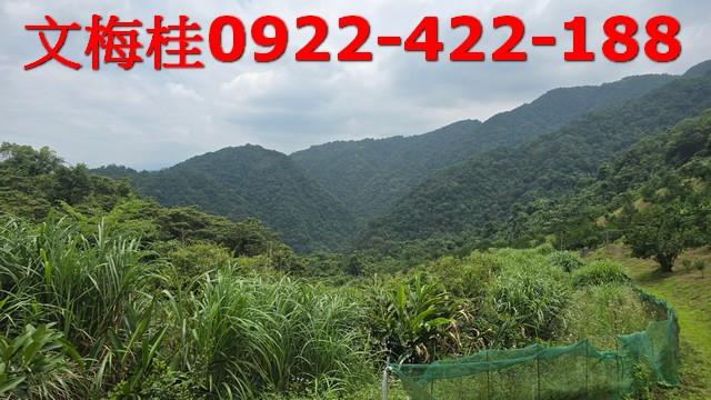 員山農地-7