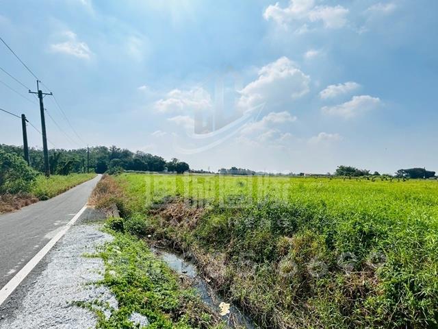 官田農地-3