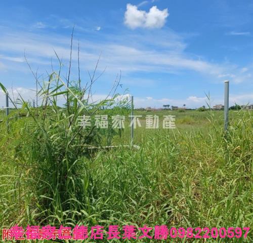 台南農地-11
