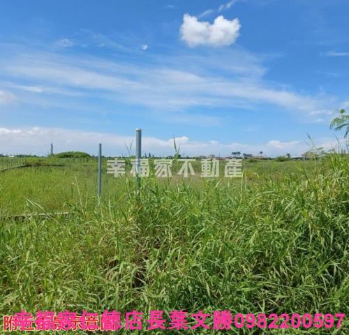 台南農地-4
