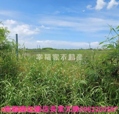台南農地-8