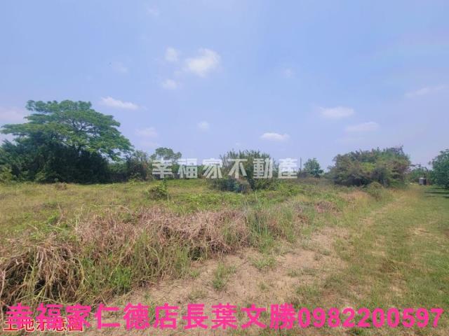 台南農地-3