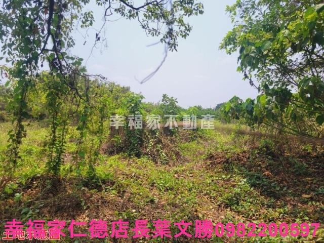 台南農地-5