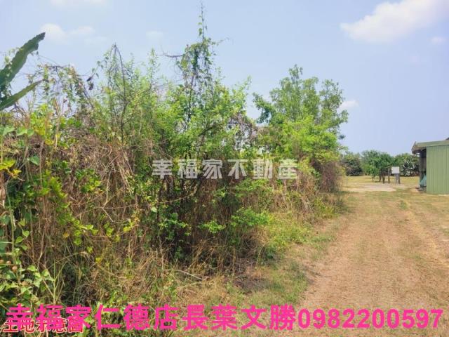 台南農地-7