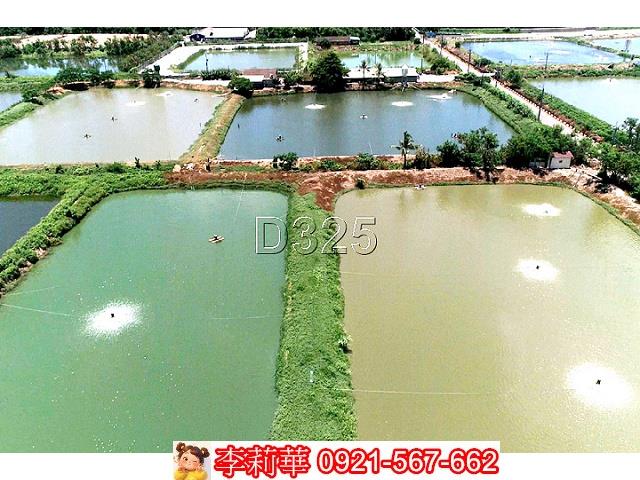 台南鹽水農地-10