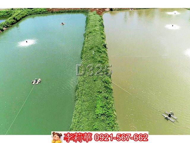 台南鹽水農地-11