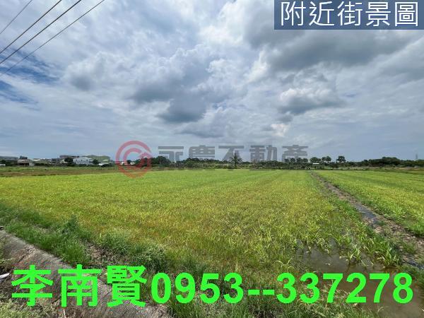 台南善化農地-5