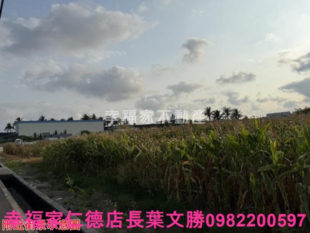 台南農地-11