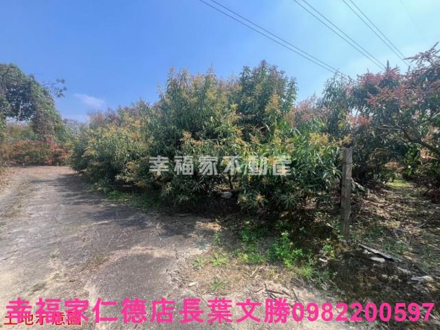 台南官田農地-12