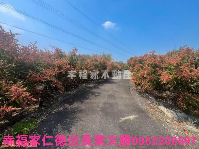 台南官田農地-5