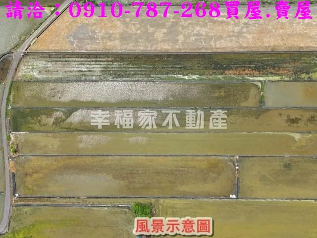 安南農地-5