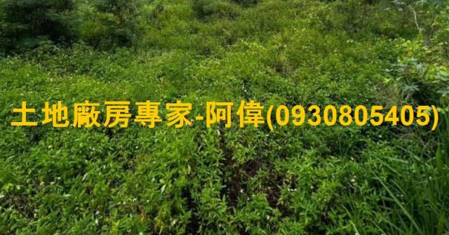 台南麻豆工業地-1