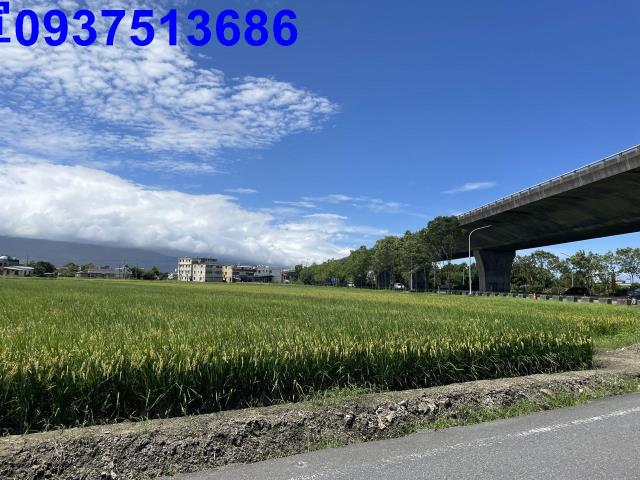 宜蘭壯圍農地-1