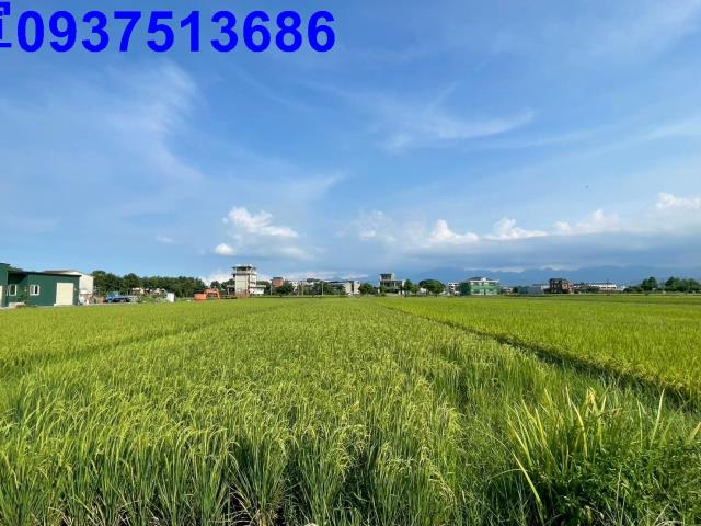 宜蘭員山農地-6