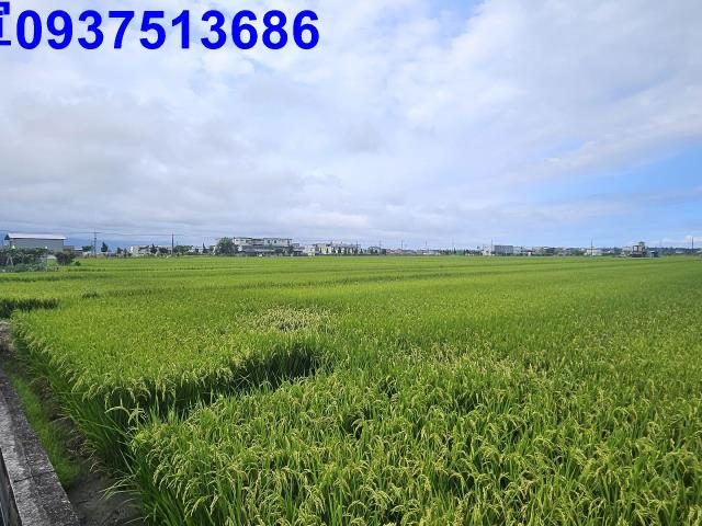 壯圍農地-7