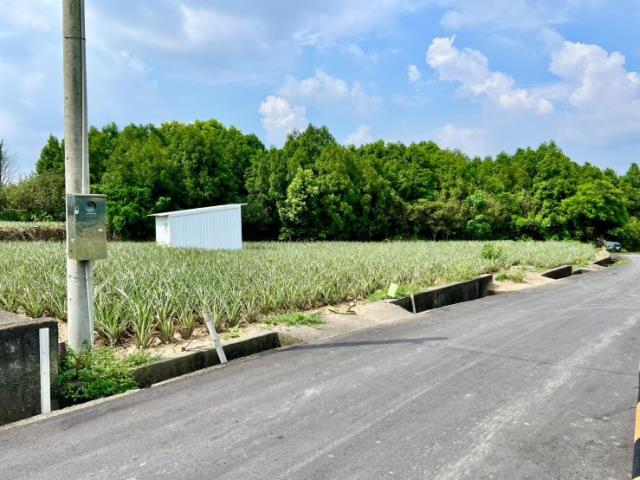 名間農地-4