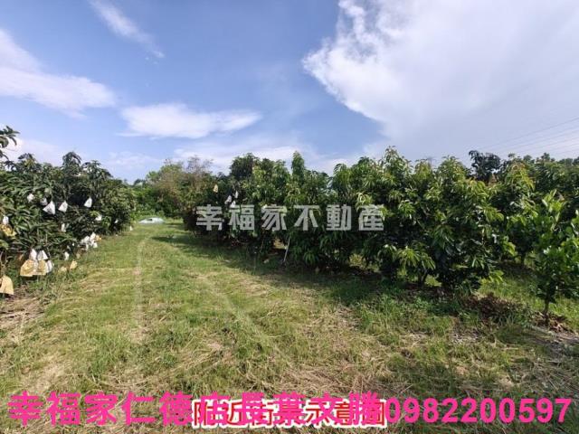 官田農地-14