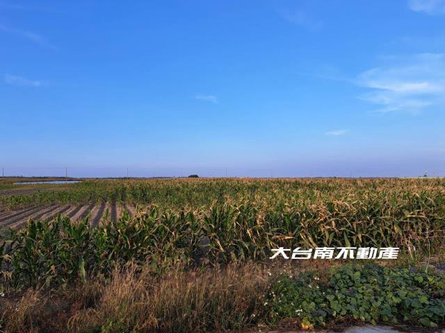 七股農地-3