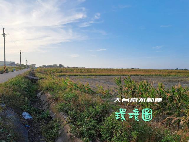 七股農地-6